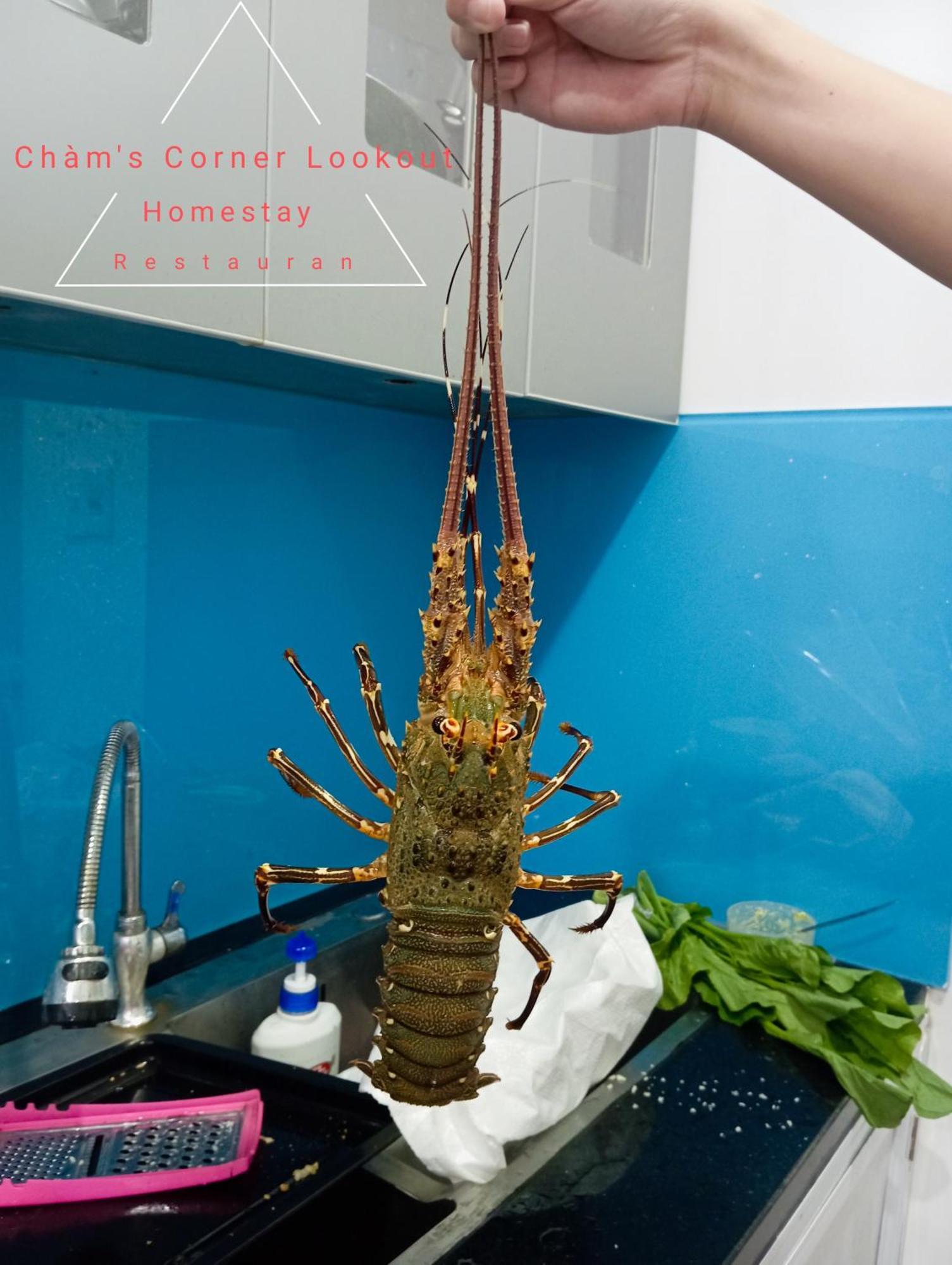 Cham'S Corner Lookout Homestay & Restaurant Tân Hiệ Dış mekan fotoğraf